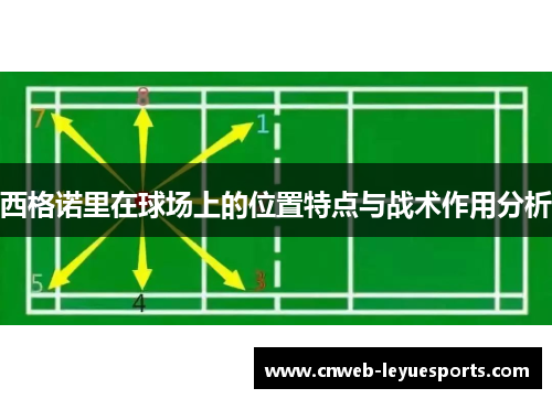 西格诺里在球场上的位置特点与战术作用分析