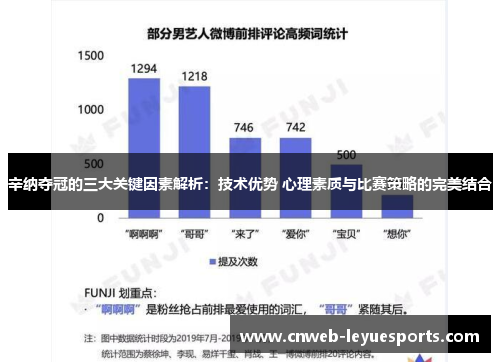 辛纳夺冠的三大关键因素解析：技术优势 心理素质与比赛策略的完美结合