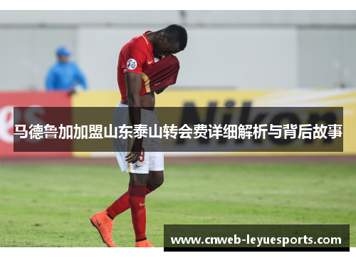 马德鲁加加盟山东泰山转会费详细解析与背后故事