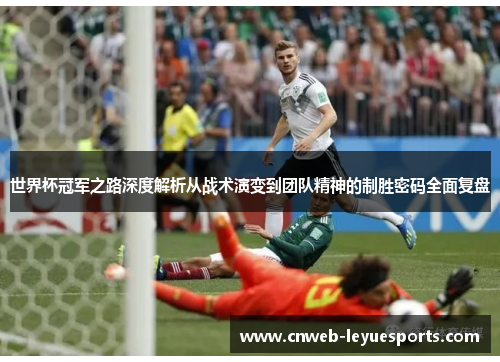 世界杯冠军之路深度解析从战术演变到团队精神的制胜密码全面复盘